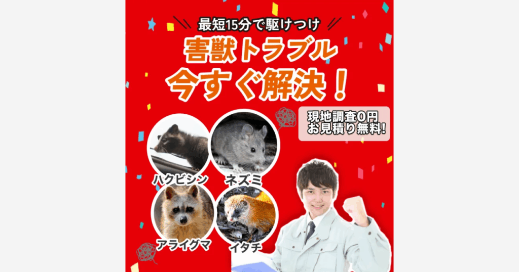 街角害獣駆除相談所のホームページ画像