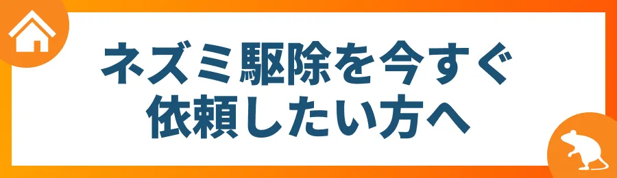 ネズミ駆除を今すぐ依頼したい方へ