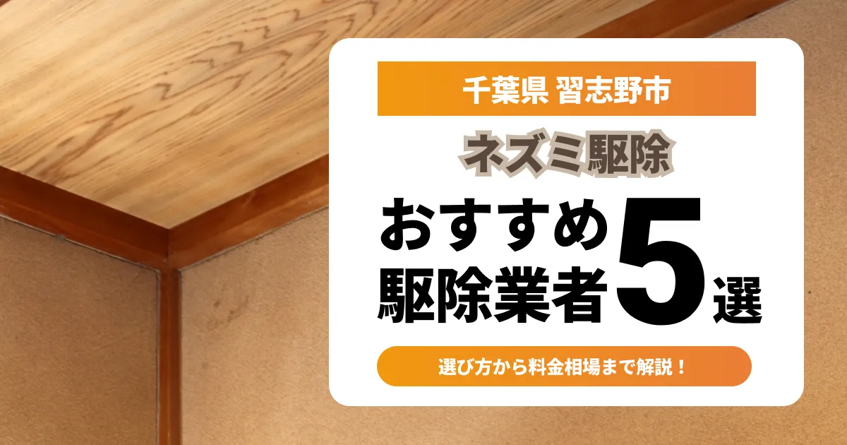 サムネイル（千葉県習志野市でおすすめのネズミ駆除業者5選）