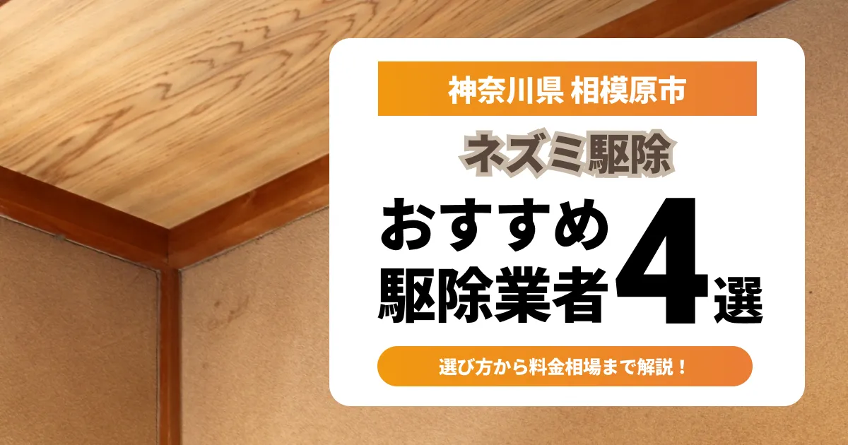 サムネイル（神奈川県相模原市でおすすめのネズミ駆除業者4選）